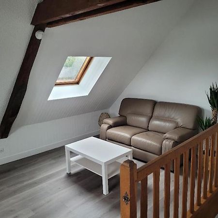 Appartement Avec Vue Sur Loire Blois Esterno foto