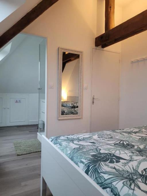 Appartement Avec Vue Sur Loire Blois Esterno foto